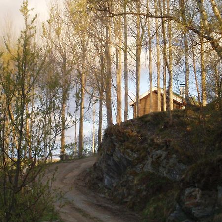 Ivaregga Vinterstua Tolga Exterior foto
