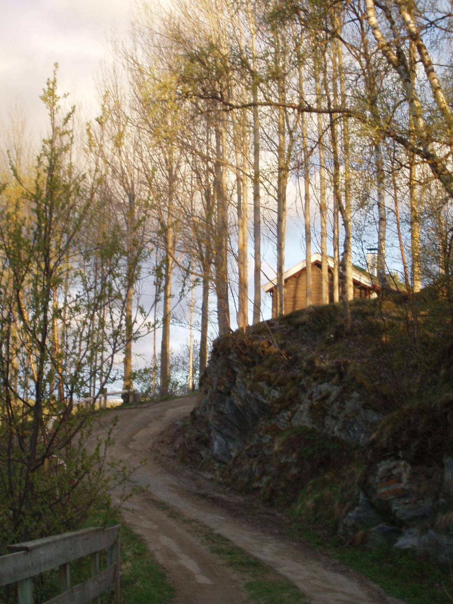 Ivaregga Vinterstua Tolga Exterior foto