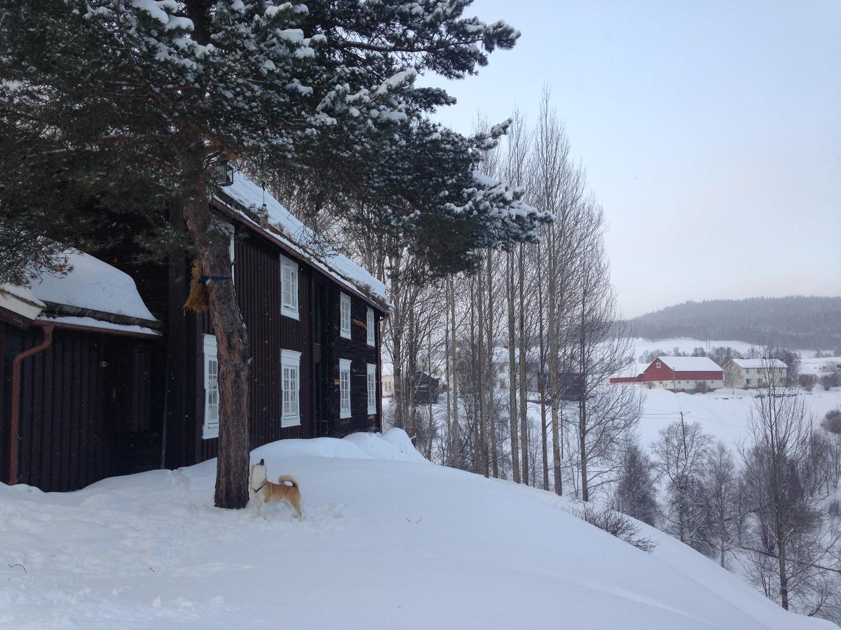 Ivaregga Vinterstua Tolga Exterior foto