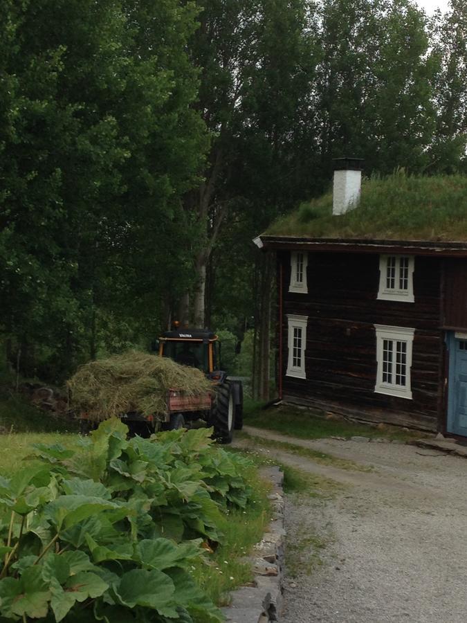 Ivaregga Vinterstua Tolga Exterior foto