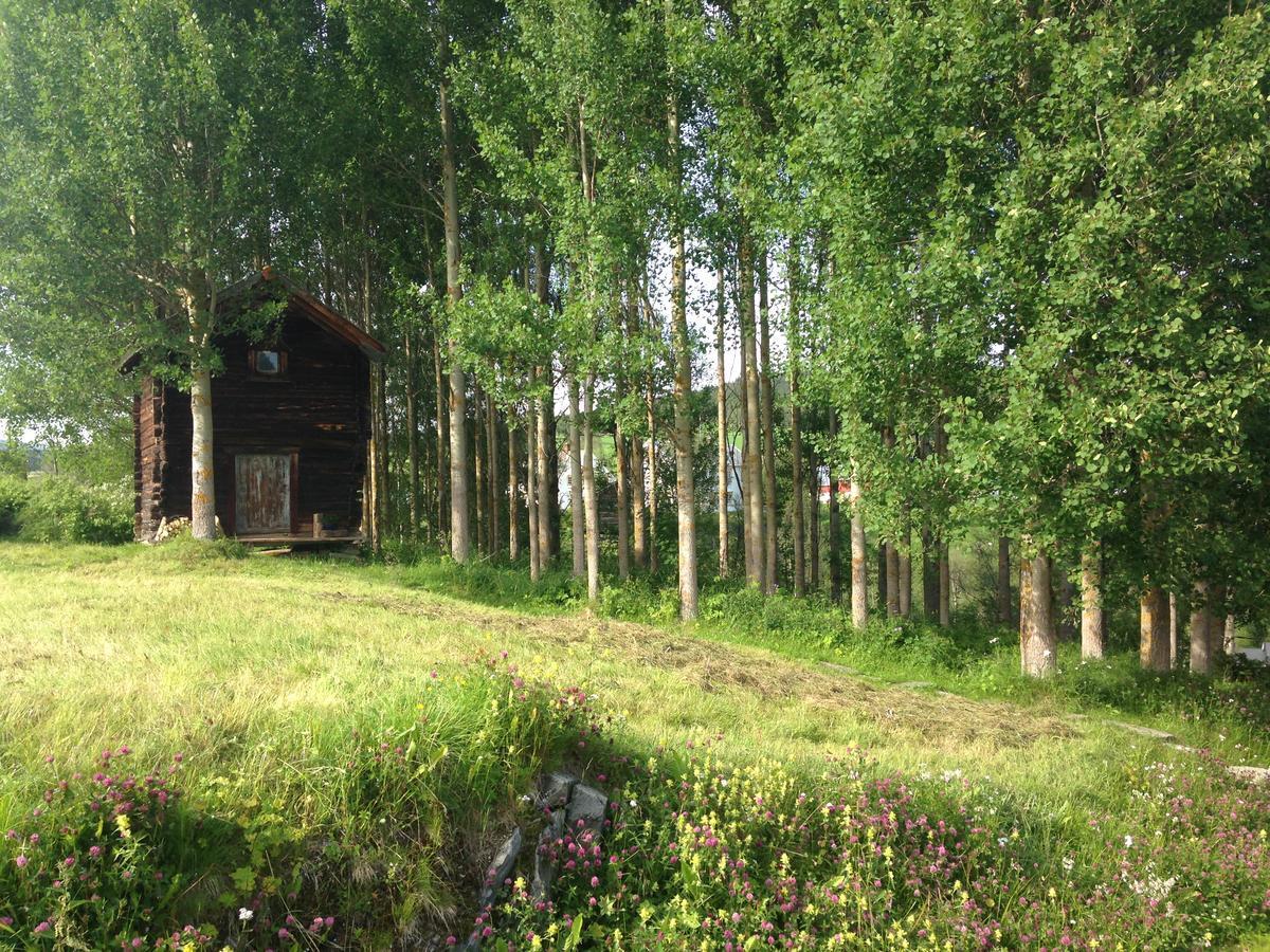 Ivaregga Vinterstua Tolga Exterior foto